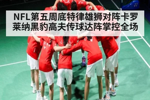 NFL第五周底特律雄狮对阵卡罗莱纳黑豹高夫传球达阵掌控全场